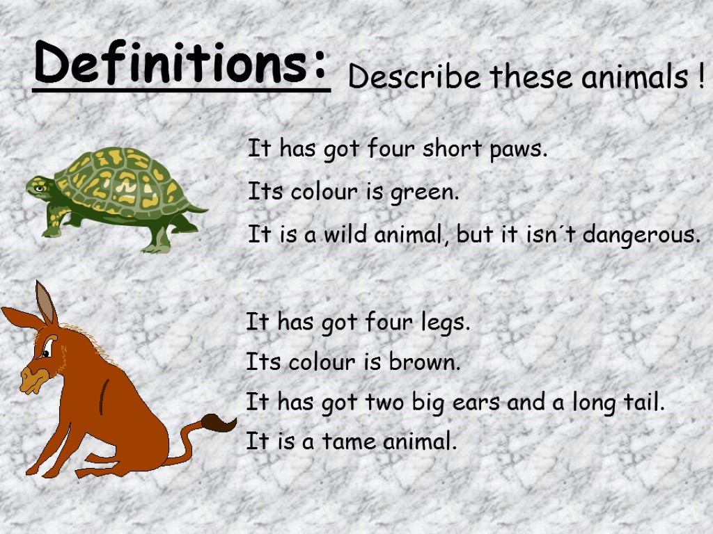 Definitions: Describe these animals ! It has got four short paws. Its colour is